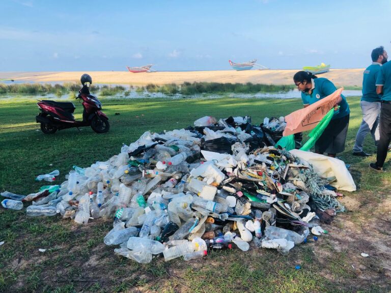 Environmental Activities