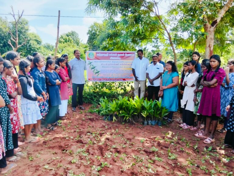 அன்னை ஸ்ரீ சாரதா நிலையத்திற்கான புதிய காணியினுள் 200 கமுகு மரக்கன்றுகள்