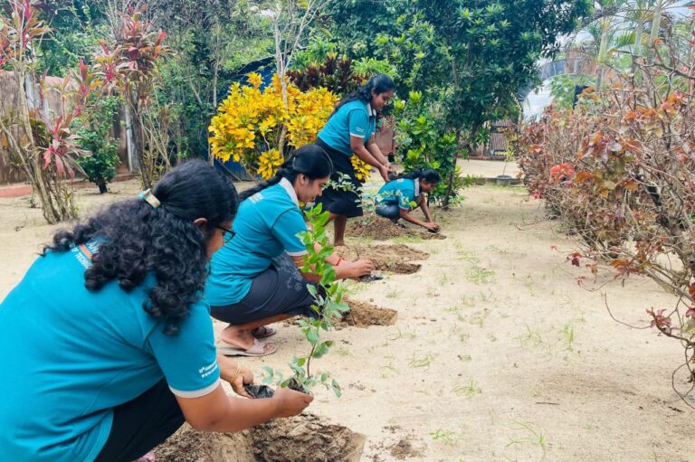 பிறந்த நாளை முன்னிட்டு சத்துணவுப் பொதிகள் வழங்கலும் மரநடுகையும்